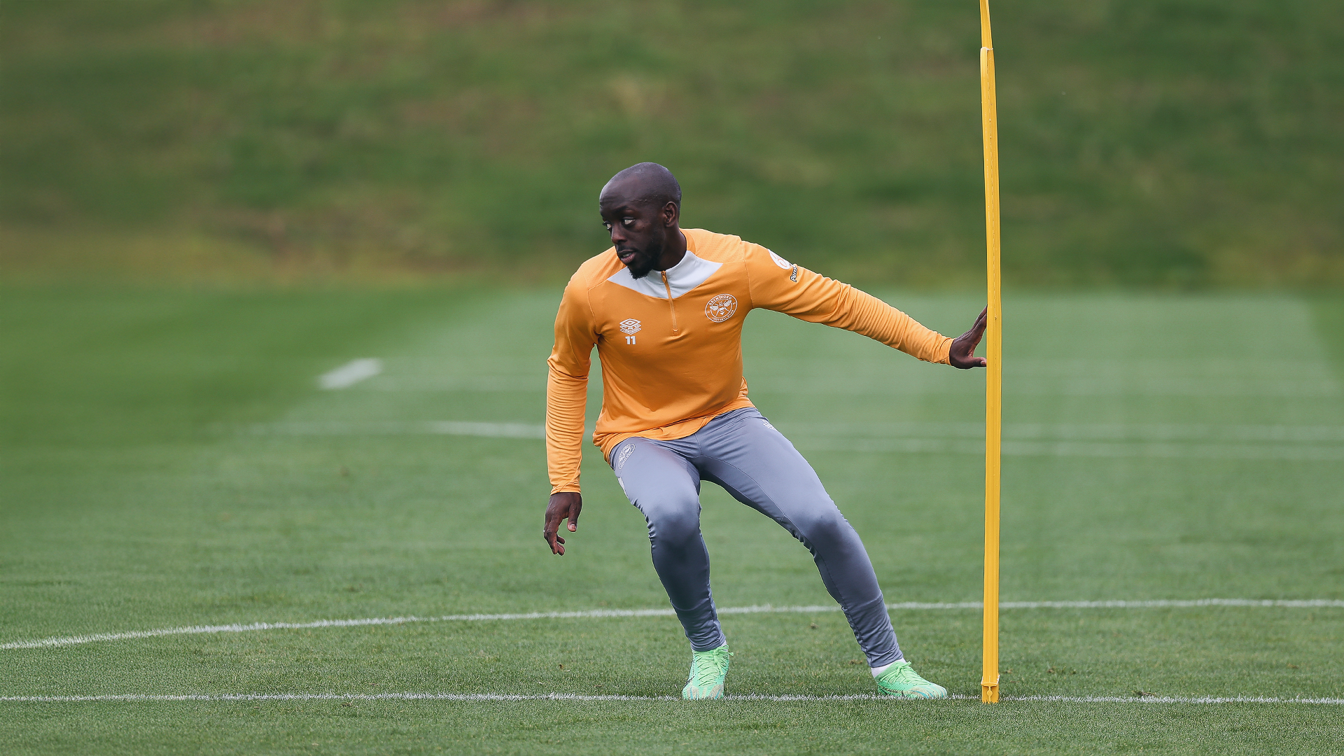 Brentford and Wolves Clash Sees High Drama Amid Injury Updates