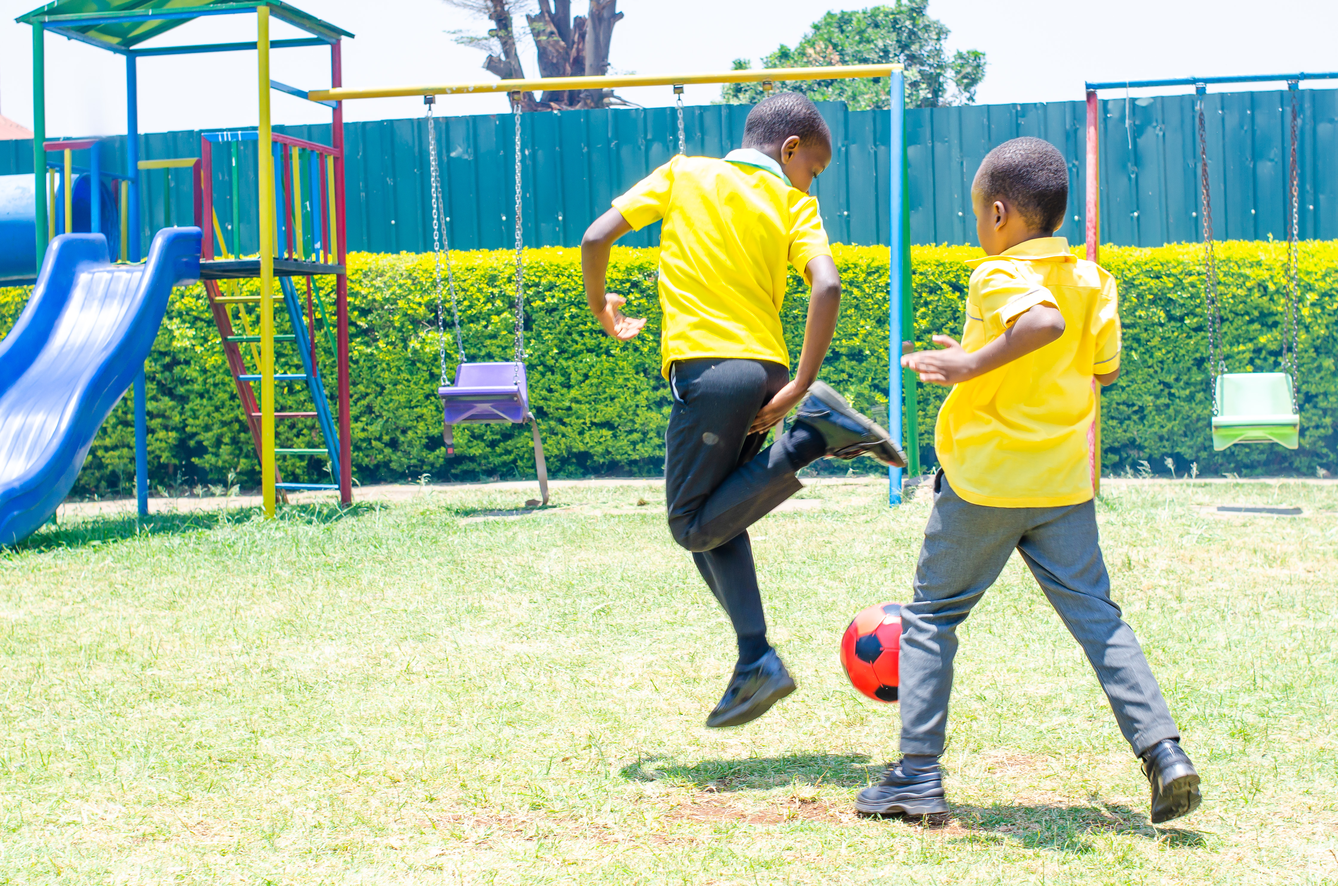 Bloomsfield School Gallery 4