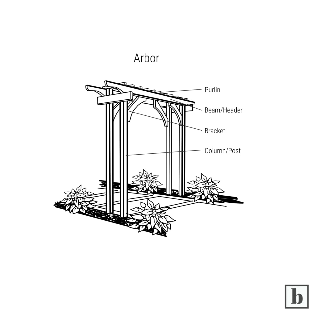 Arbor illustration