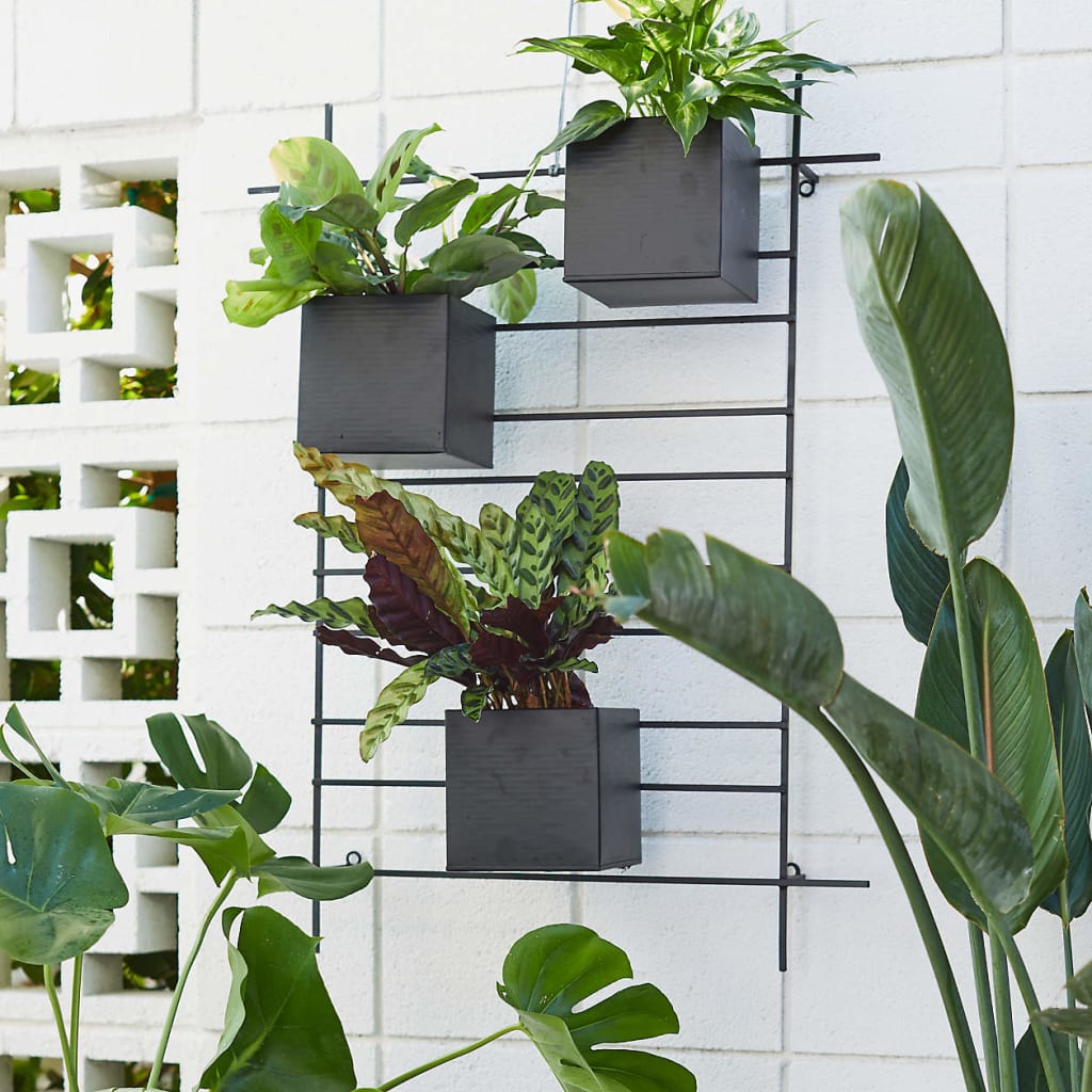 Wall-mounted outdoor planters