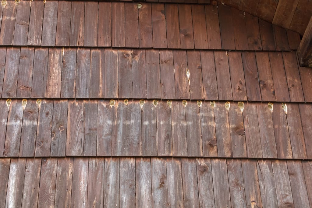 Brown wooden facade of the house full of holes made by woodpecker
