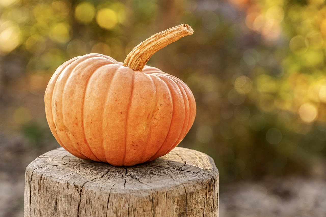 pumpkins are great halloween decor!