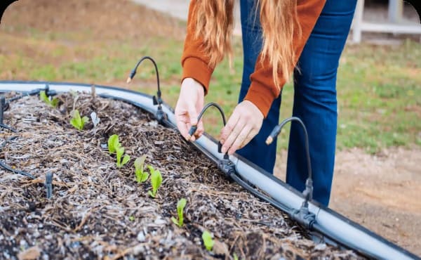 Image showing Vego, a raised bed that can make your home stand out.