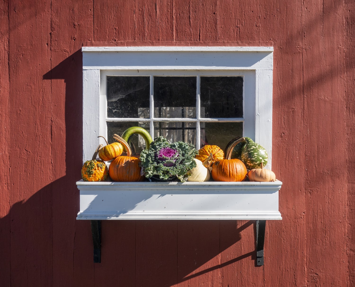 12 Delightful Window Box Ideas for Every Season - brick&batten