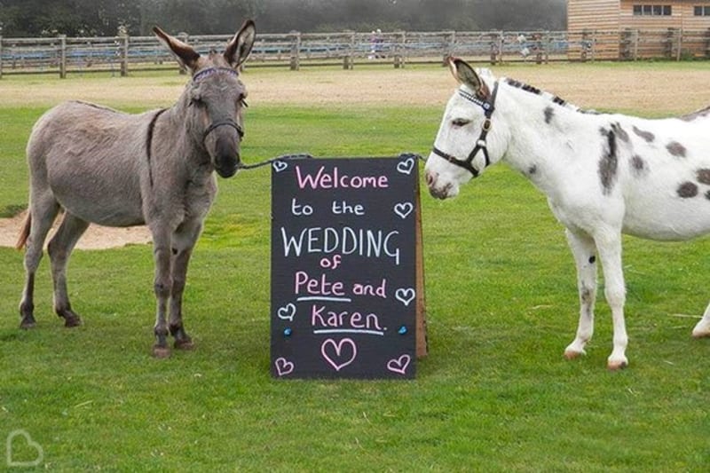 The Donkey Sanctuary wedding venue with two beautiful wedding venues on either side of blackboard wedding sign