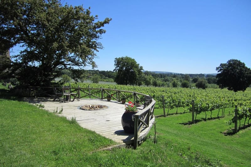 Nutbourne Vineyards on a sunny day