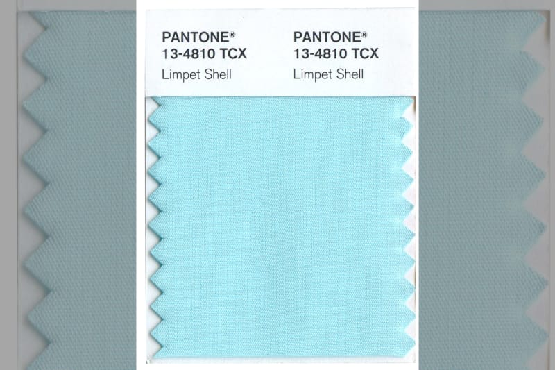 bridebook.co.uk-pantone-limpet-shell