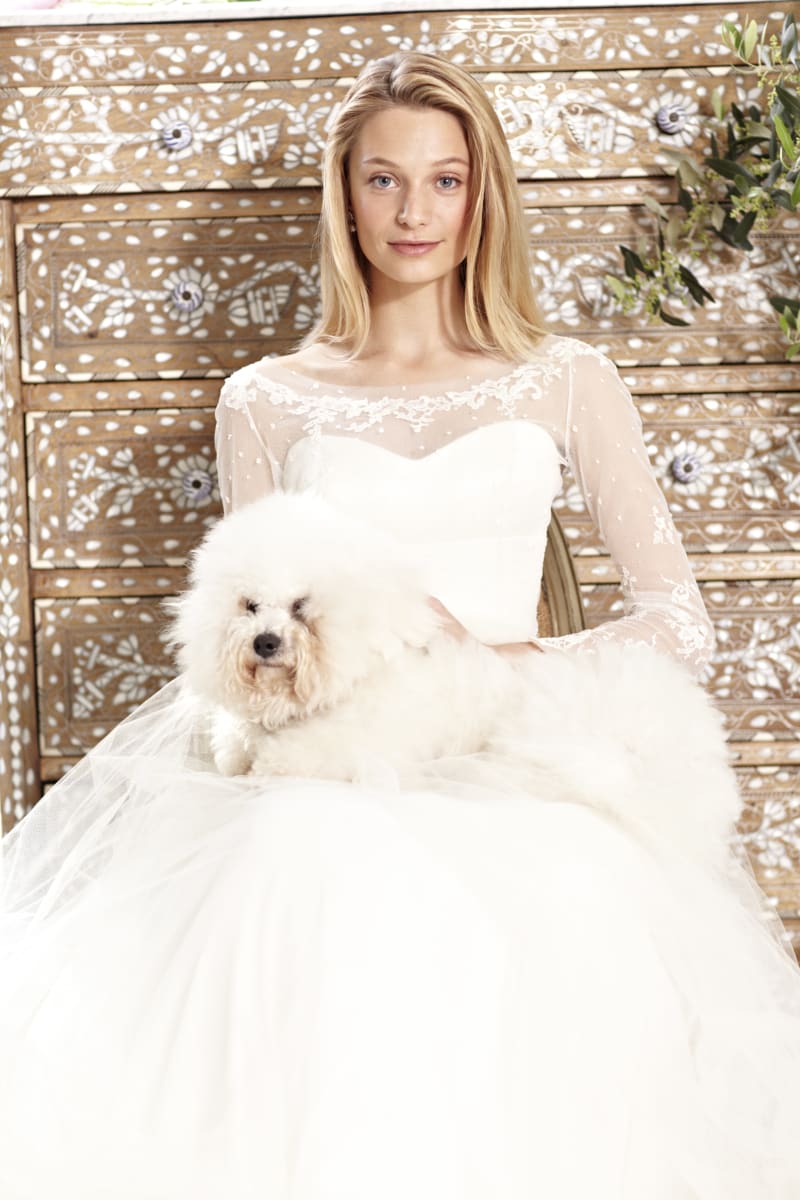 Phillipa Lepley dress on model in front of cabinet with dog