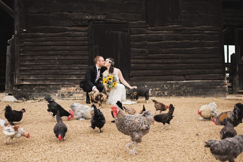 Married couple at amazing farm wedding venue surrounded by chickens