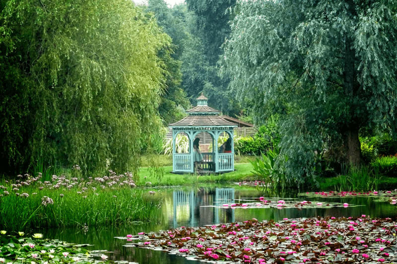 Bennets Water Gardens gazeebo.