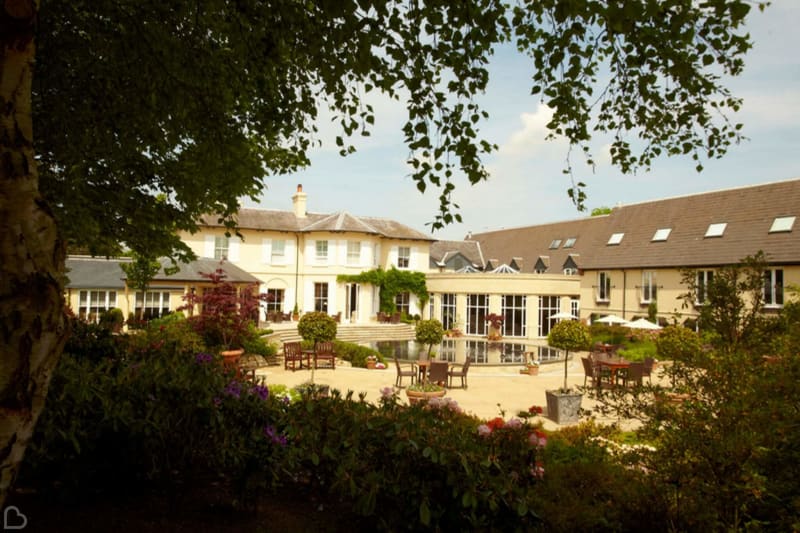 the vineyard on a sunny day