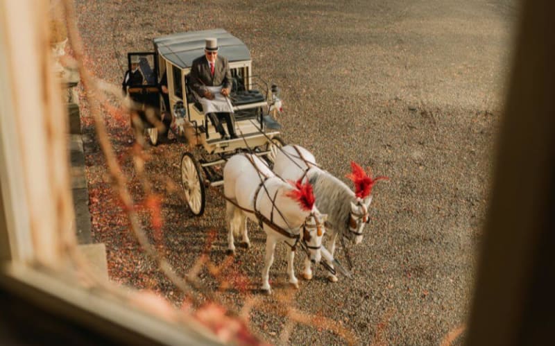 Carriage being pulled by two white horses.