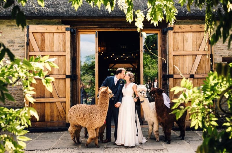 Emma and Graham wedding with beautiful pets at The Tythe Barn Launton wedding venue