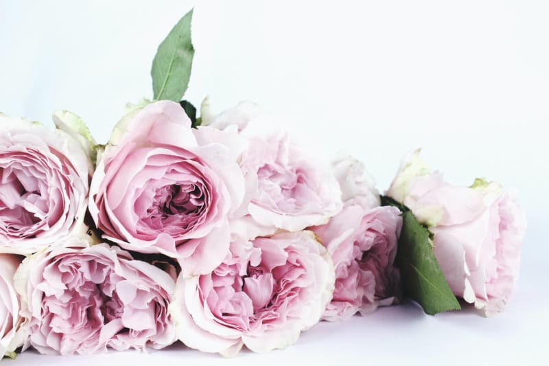 Pink flower roses 4th Wedding Anniversary gift
