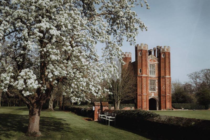 A tall historic tower made of bricks stands beside a big tree.