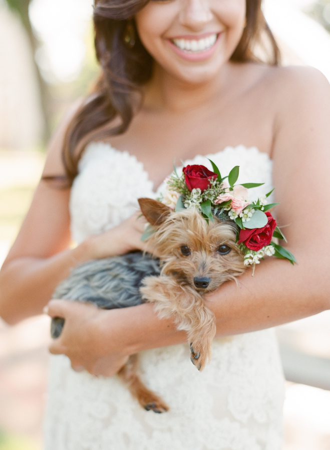 20 Wedding Dogs that Definitely Stole the Show