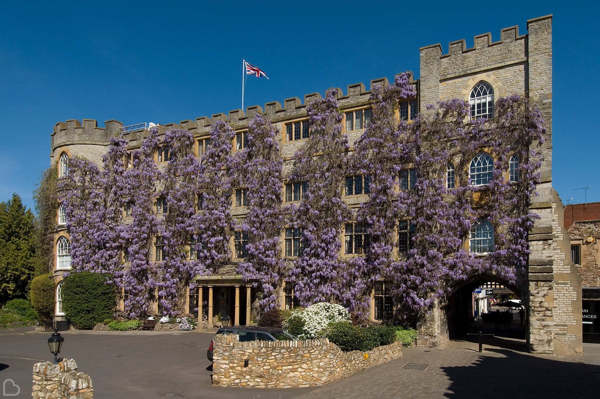 the castle hotel