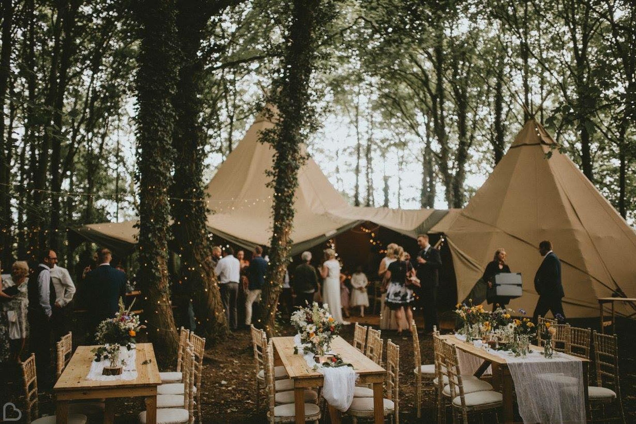 Applewood Weddings tents in the forrest. 