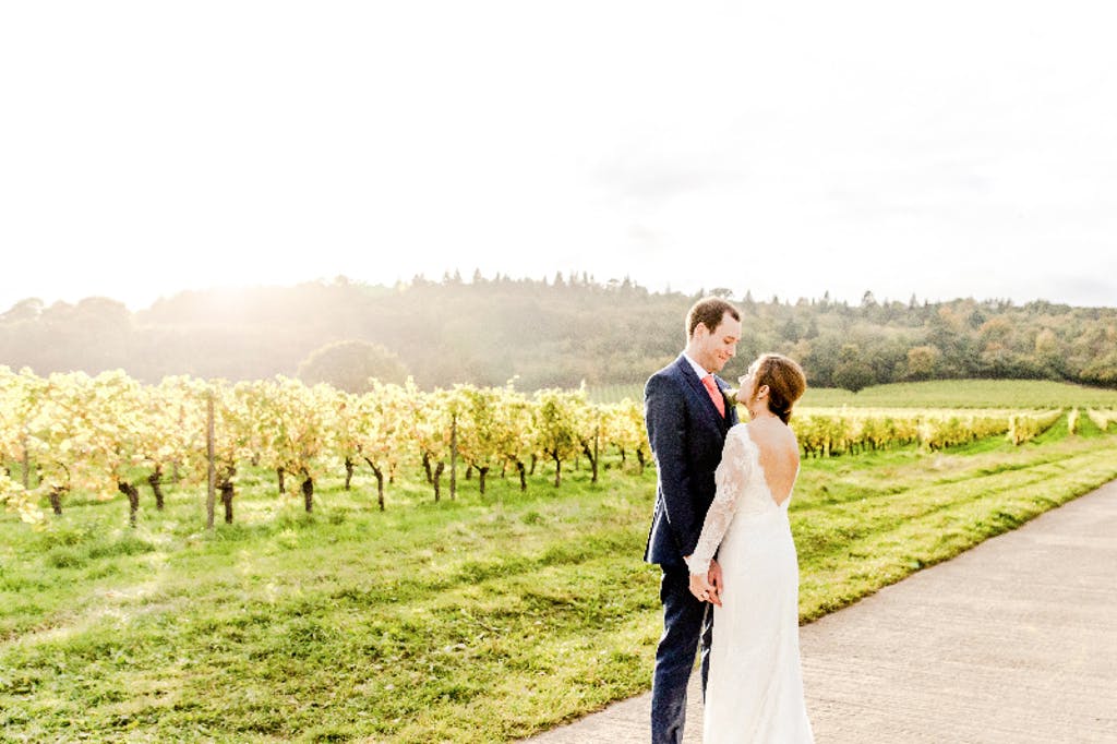 Vineyards lit up with sunshine as newlyweds stare into each other eyes.