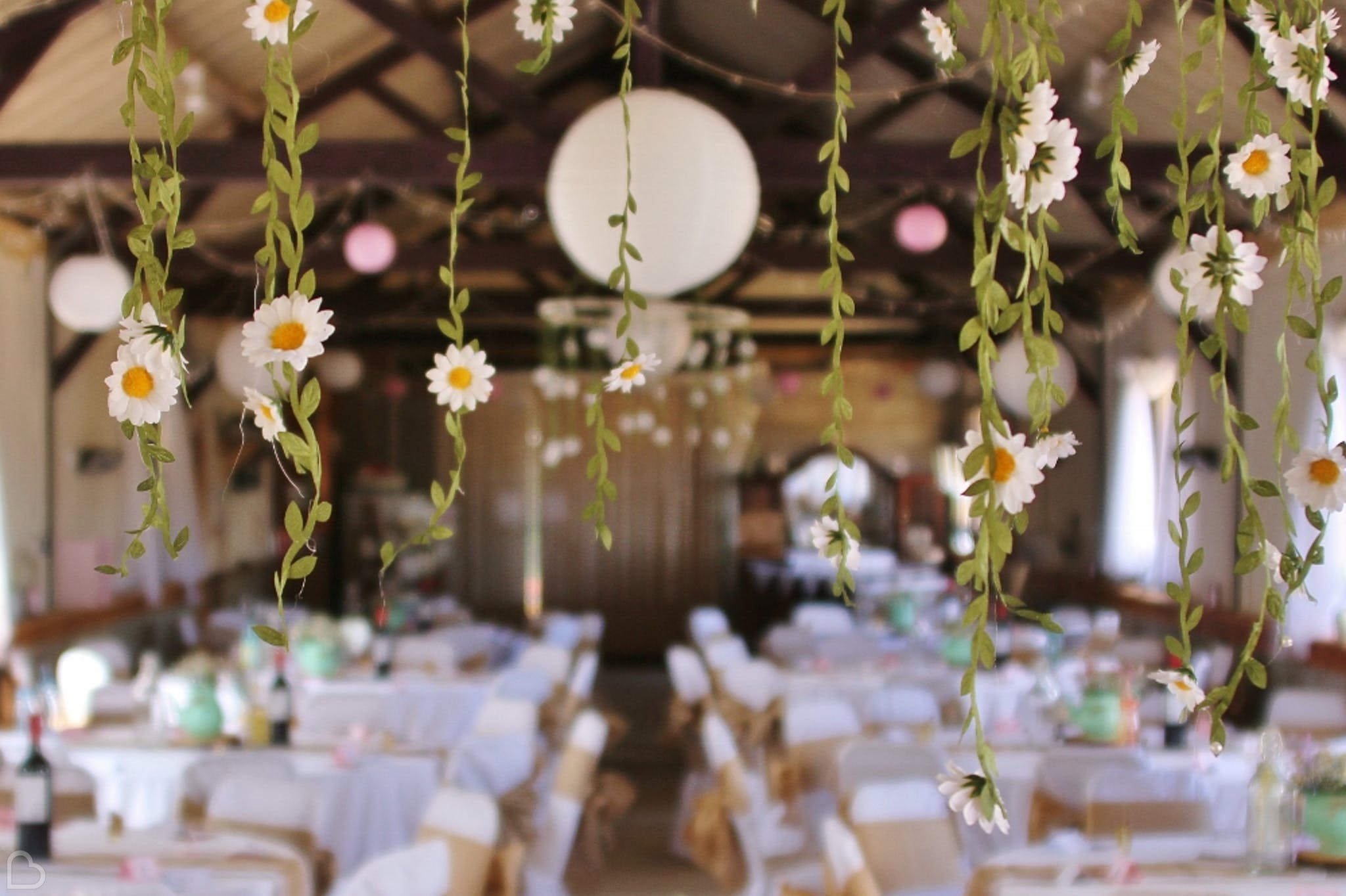 Daisies decorating the venues at Barnutopia.