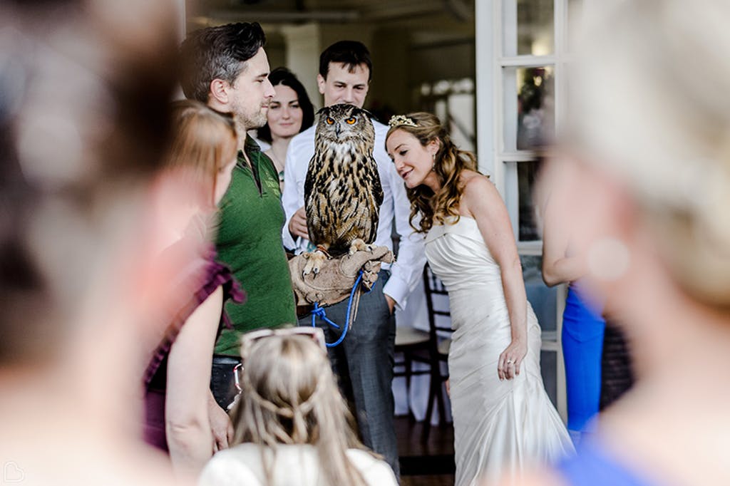 Bride and owl at ZSL zoo in London.