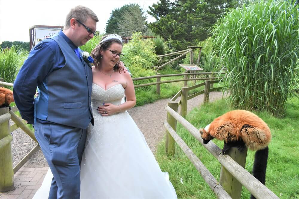 A couple looks at a lemur in the garden.
