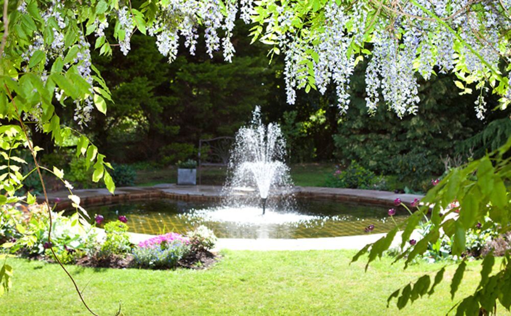 the fountain in the garden surrounded by greenery.