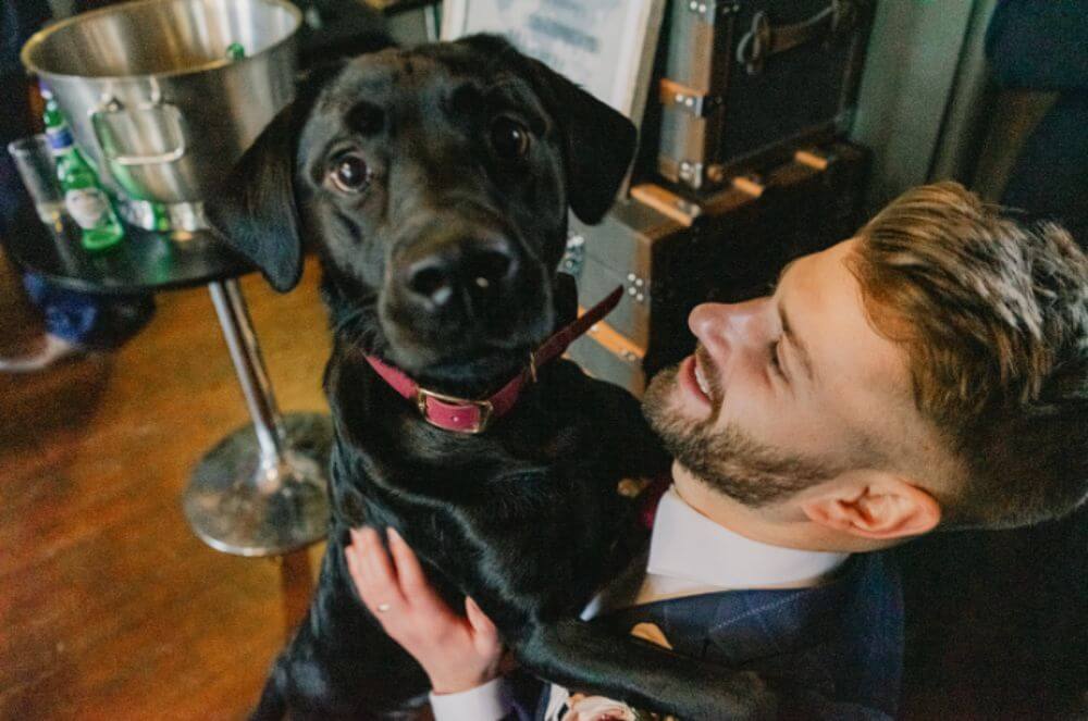 The groom holds a black labrador dog.