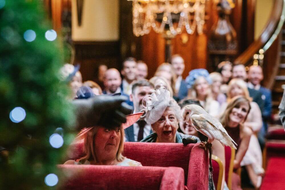 A guest looks in amusement at an owl.