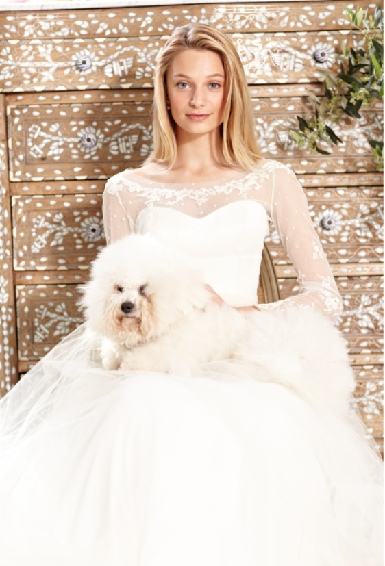 Phillipa Lepley dress on model in front of cabinet with dog