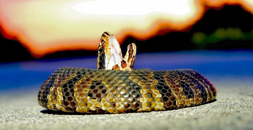 The 5 Edge Cases That Break Image Generation APIs (Found in Production, Tested in Code)