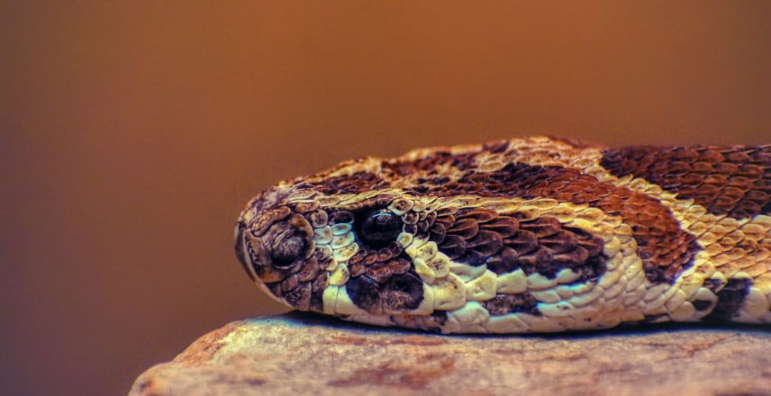 The 5 Edge Cases That Break Image Generation APIs (Found in Production, Tested in Code)