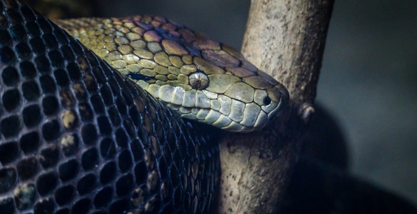 The 5 Edge Cases That Will Break Your Image Generation API (And How to Test Each One)