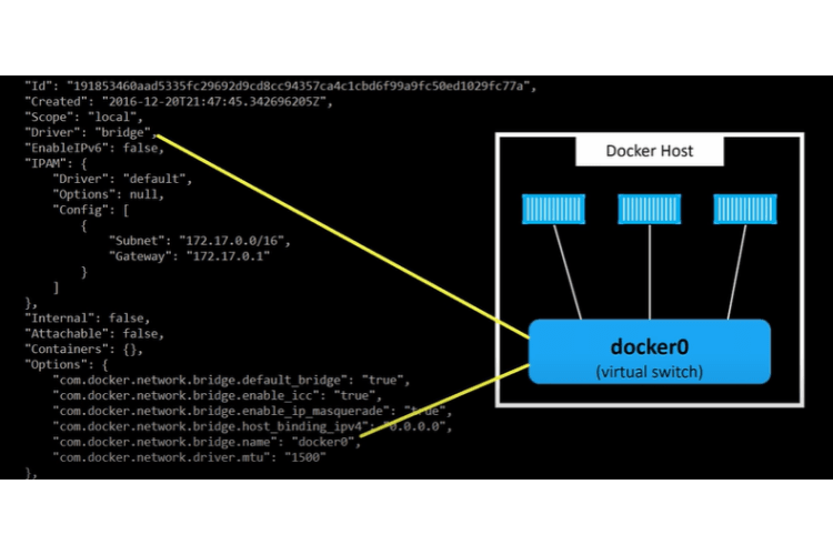 le réseau de pont docker0