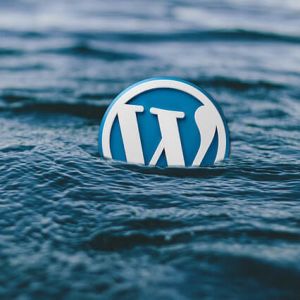 WordPress – Dobrý sluha nebo zlý pán?