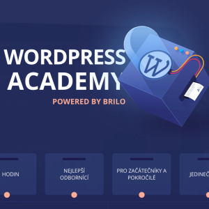 WordPress Akademie pro pokročilé – VŠE Praha