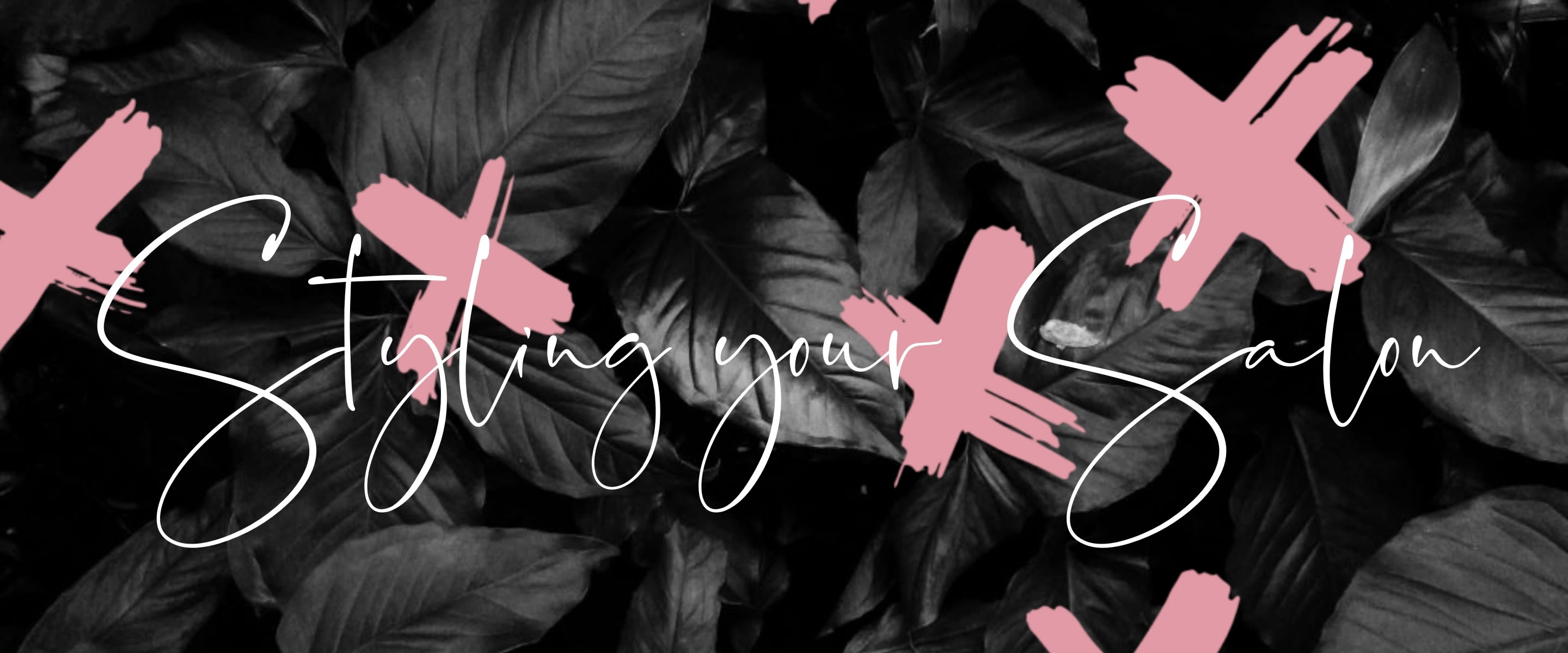 Creating Salon Ambience and Décor Website Header