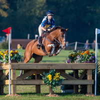 Young Horse Championships 4 Thumbnail