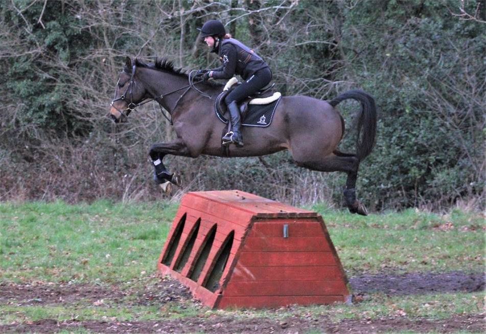 Horse For Sale British Eventing
