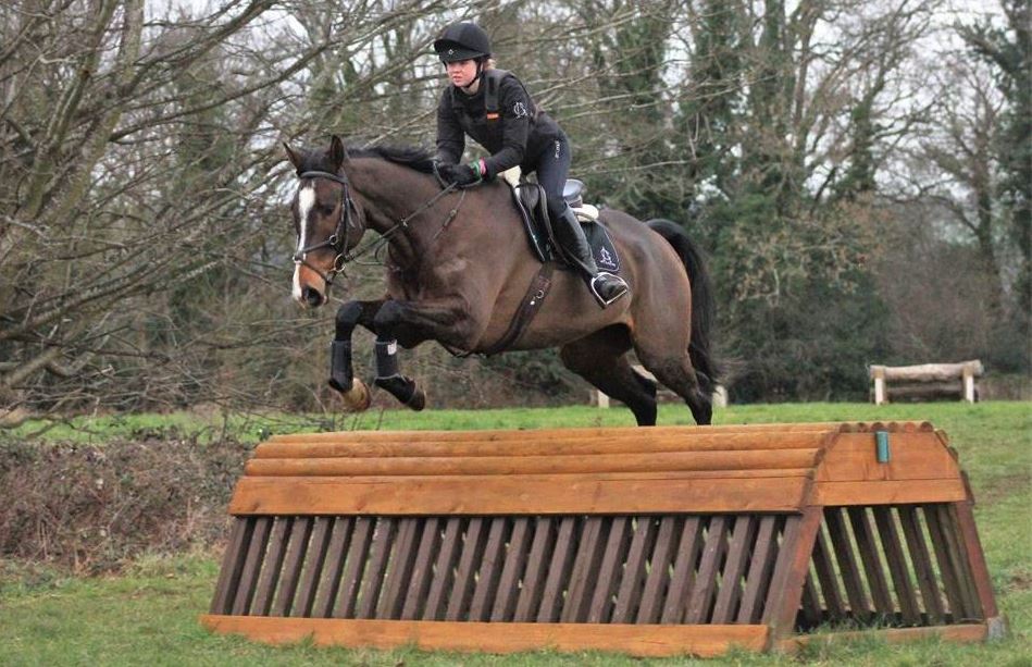 Horse For Sale British Eventing