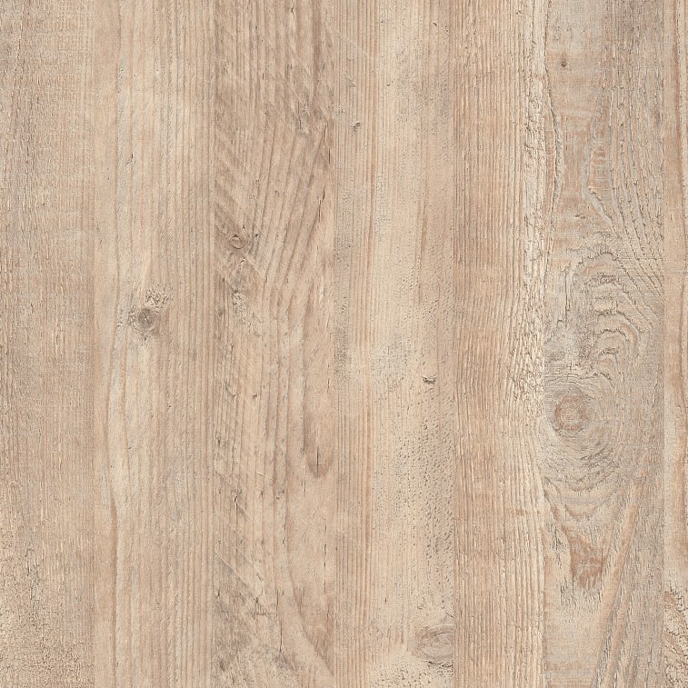 234 Сосна Прованс