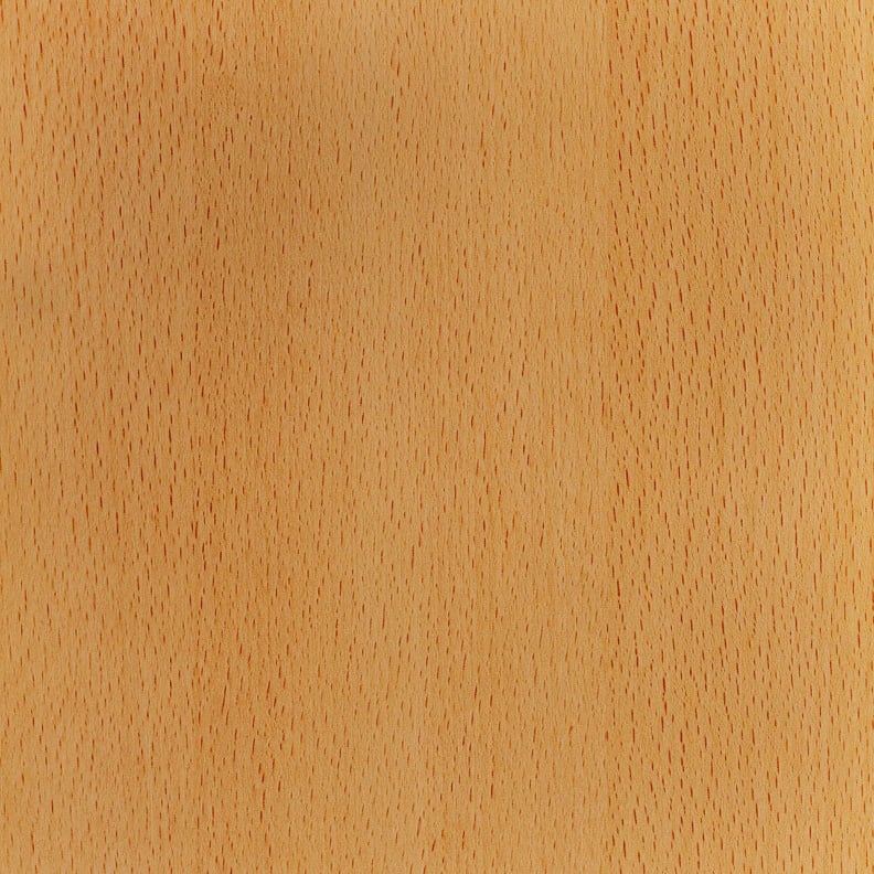 255 Бук Бавария