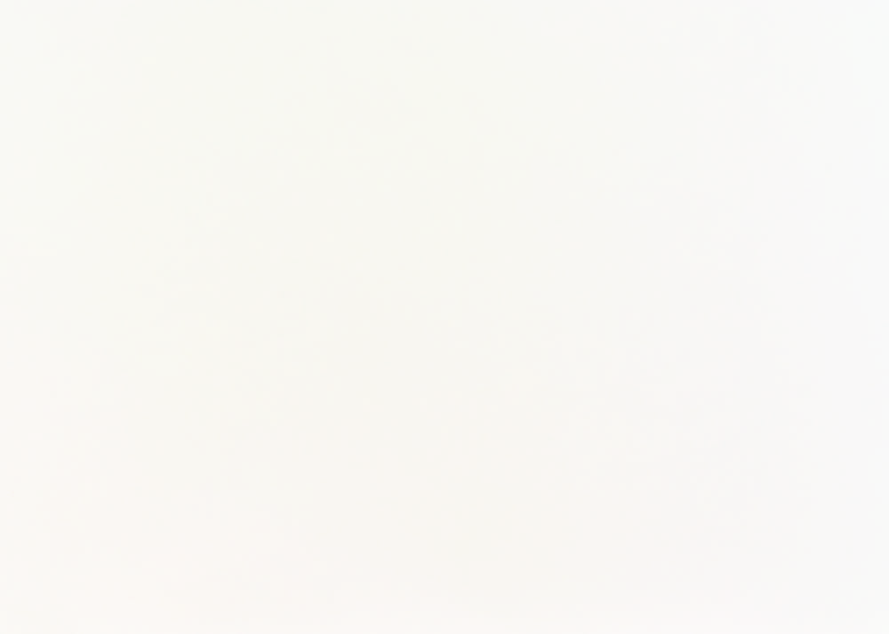 Белый фон Изготовление, ремонт, модернизация торговой и корпусной мебели в Москве - Образцы ЛДСП компании Дятьково ФМК