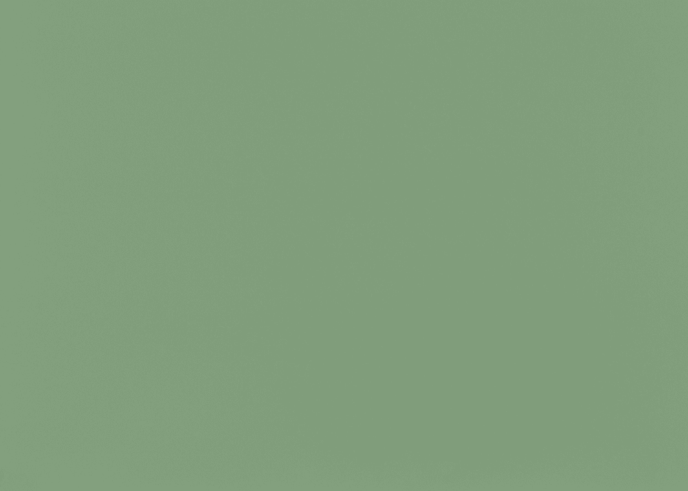 Изготовление, ремонт, модернизация торговой и корпусной мебели в Москве - Образцы ЛДСП компании Дятьково ФМК