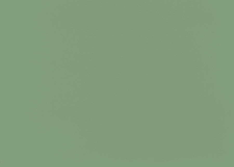 Изготовление, ремонт, модернизация торговой и корпусной мебели в Москве - Образцы ЛДСП компании Дятьково ФМК