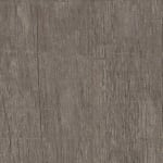 103 Дуб Антик