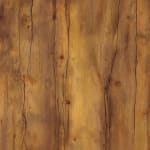 171 Таксония 171 Таксония