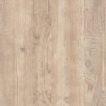 234 Сосна Прованс