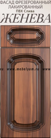 zheneva-001-2-1