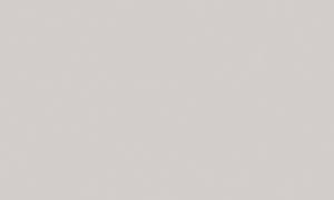 Фантазийные декоры Светло-серый U708 ST9 Фантазийные декоры Светло-серый U708 ST9